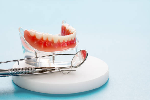 Best Dental Exams and Cleanings  in Elsmere, KY